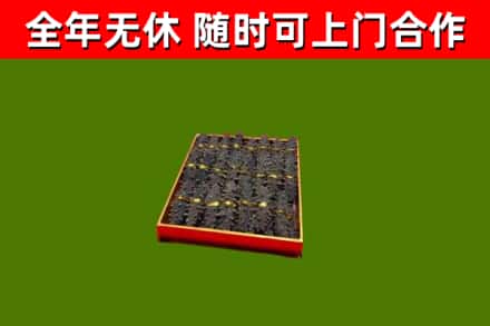 浙江省回收海参